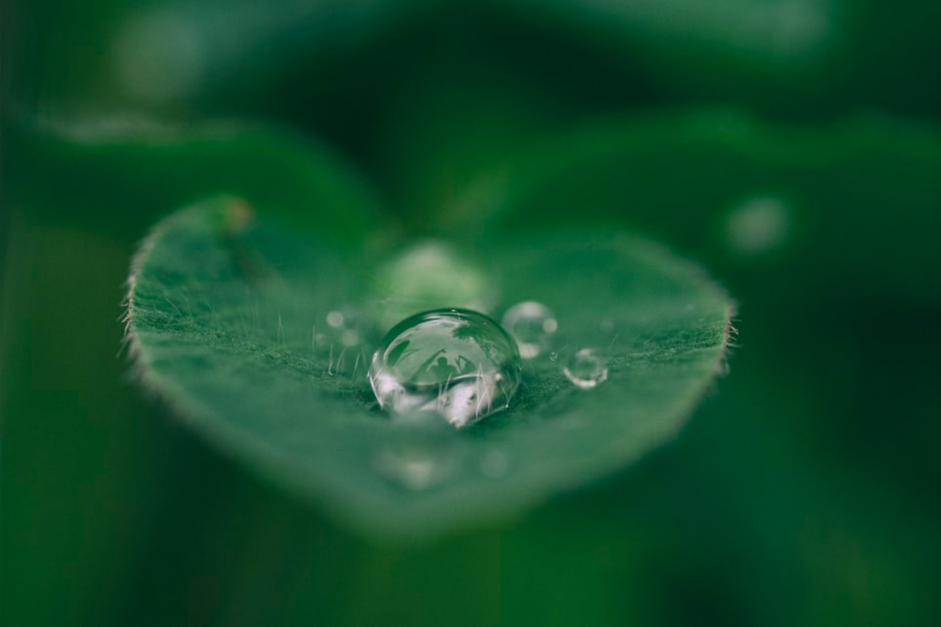 survival of hospitality industry